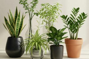 Vasos de plantas de diferentes materiais e tamanhos, representando a escolha ideal para o cultivo saudável com drenagem adequada.